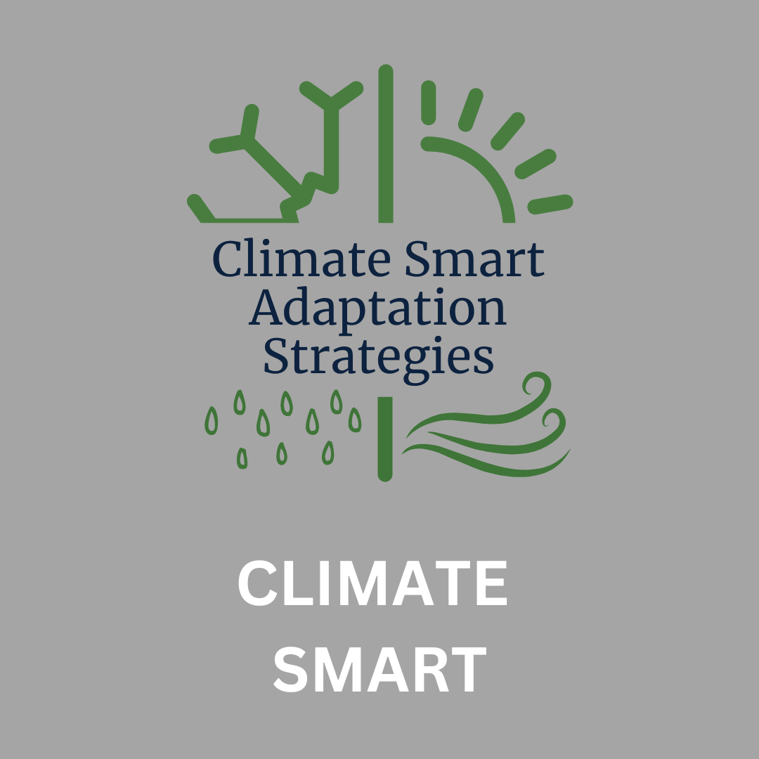 Climate Smart Adaptation Strategies