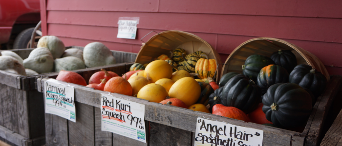 an assortment of winter squash on display and for sale