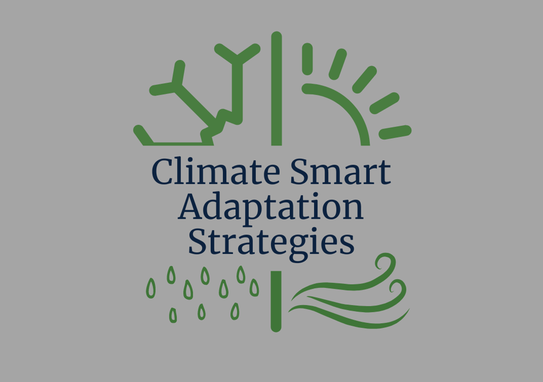 Climate Smart Adaptation Strategies logo